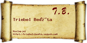 Triebel Beáta névjegykártya